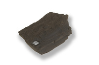 M 04817
<br/>
fijn gelamineerde Bruinkool met duidelijke houtstructuur
<br/>
<em></em>